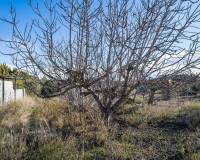 Wederverkoop - Landhuis - Pinoso - 