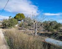 Wederverkoop - Landhuis - Pinoso - 