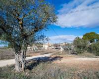 Wederverkoop - Landhuis - Pinoso - 