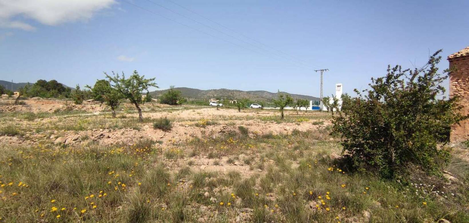 Wederverkoop - Landhuis - Pinoso - 