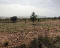 Wederverkoop - Landhuis - Pinoso - 