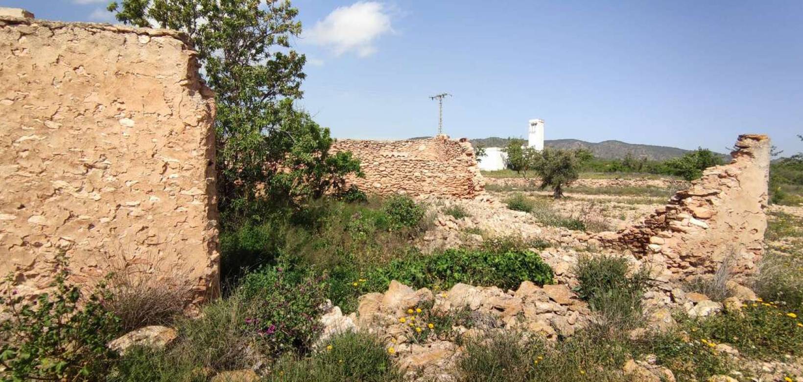 Wederverkoop - Landhuis - Pinoso - 