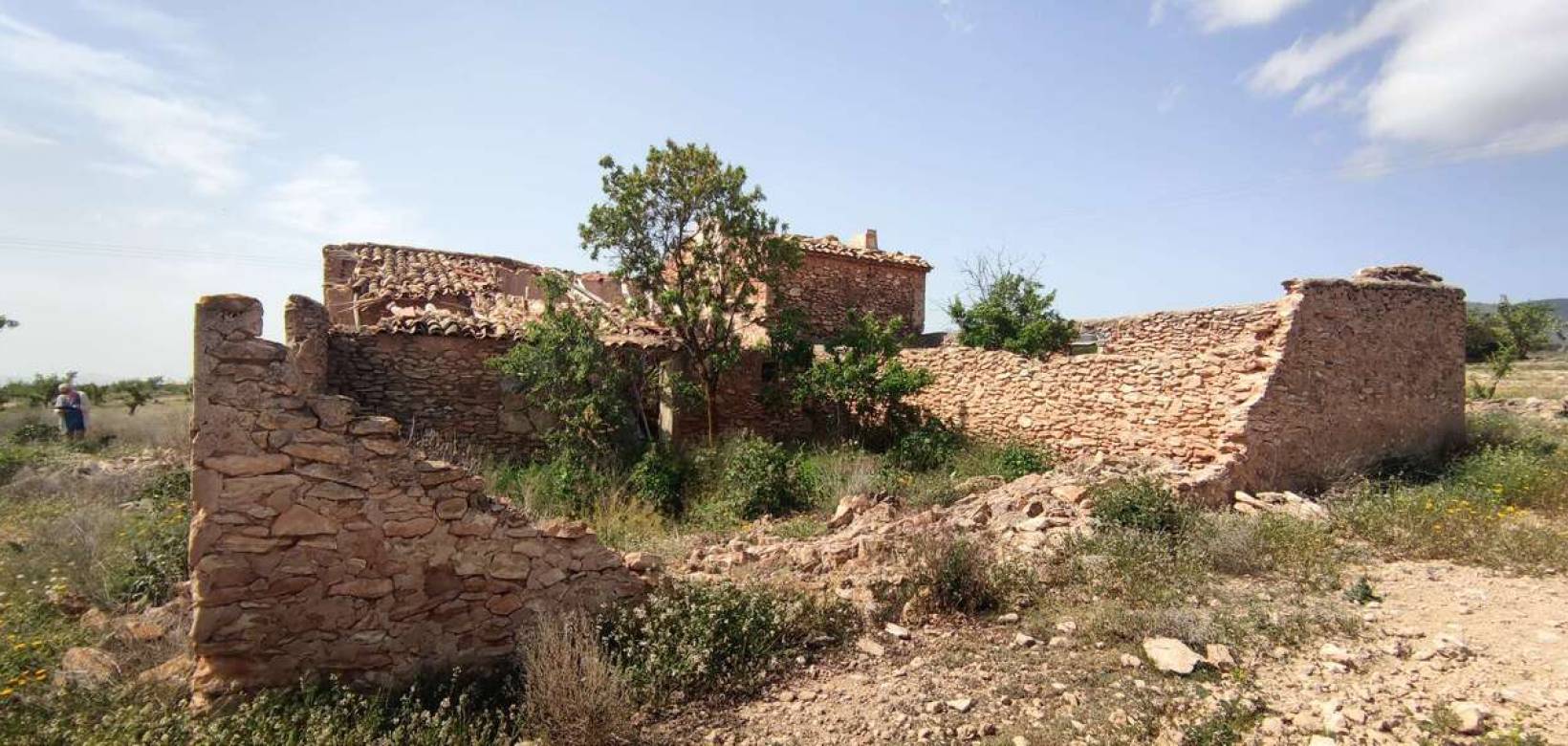 Wederverkoop - Landhuis - Pinoso - 