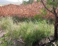 Wederverkoop - Landhuis - Pinoso - 