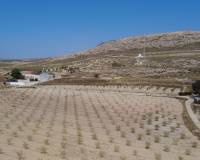Wederverkoop - Landhuis - Torre del Rico - 