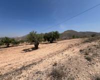 Wederverkoop - Perceel - 