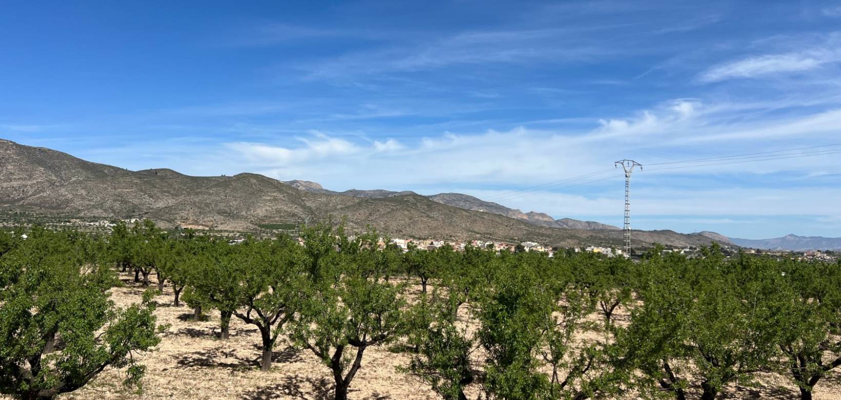 Wederverkoop - Plot / Land - Hondón de los Fráiles