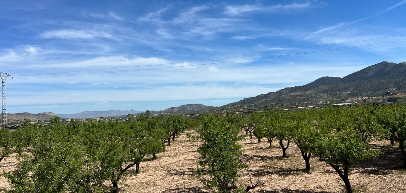 Wederverkoop - Plot / Land - Hondón de los Fráiles