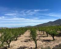 Wederverkoop - Plot / Land - Hondón de los Fráiles