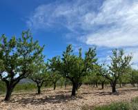 Wederverkoop - Plot / Land - Hondón de los Fráiles