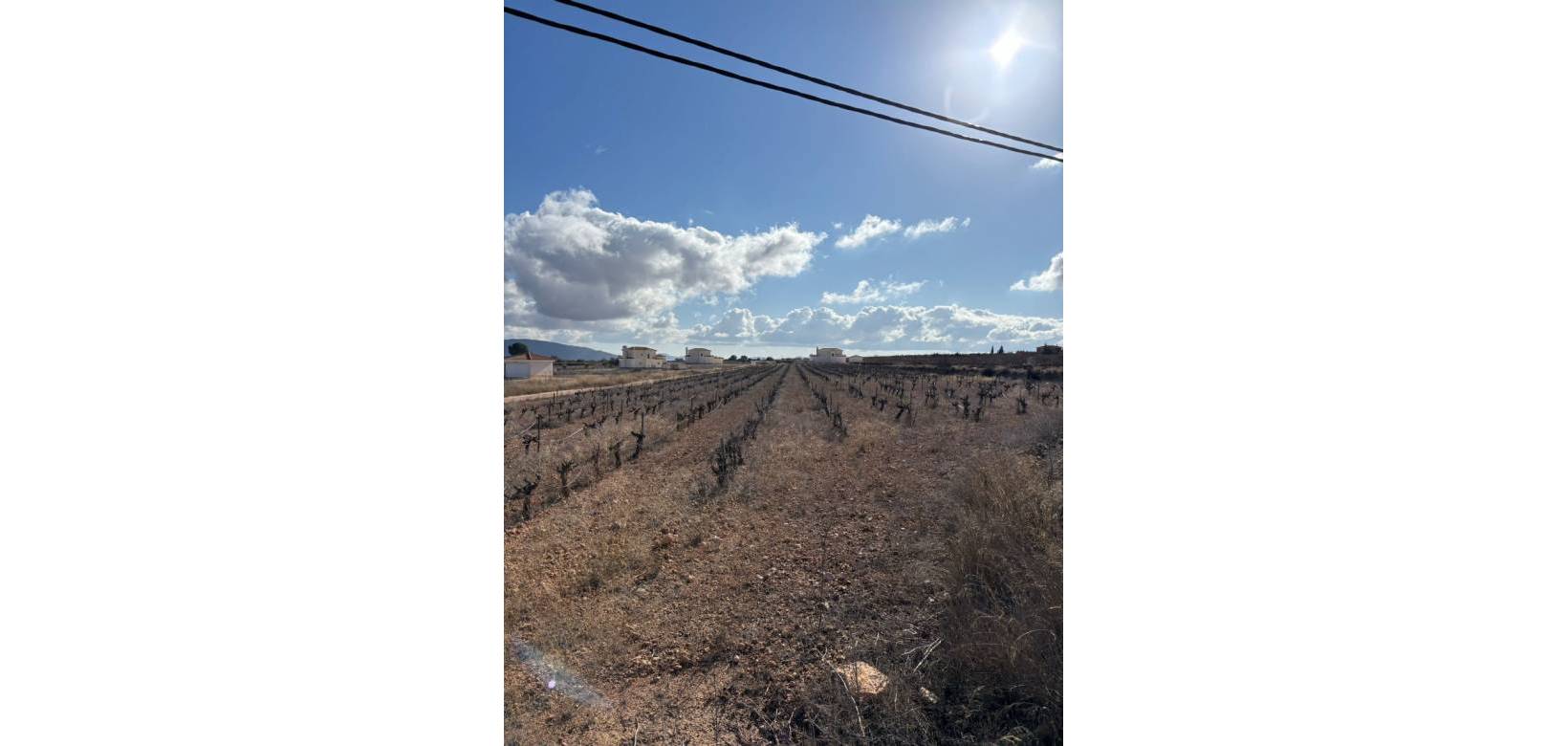 Wederverkoop - Plot / Land - Pinoso - el Pinós / Pinoso