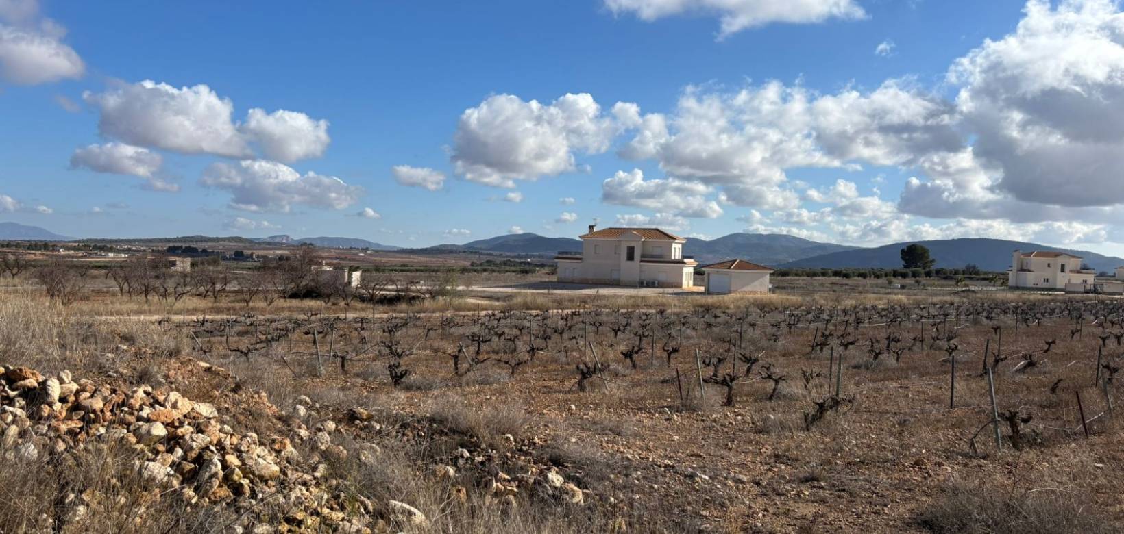 Wederverkoop - Plot / Land - Pinoso - el Pinós / Pinoso