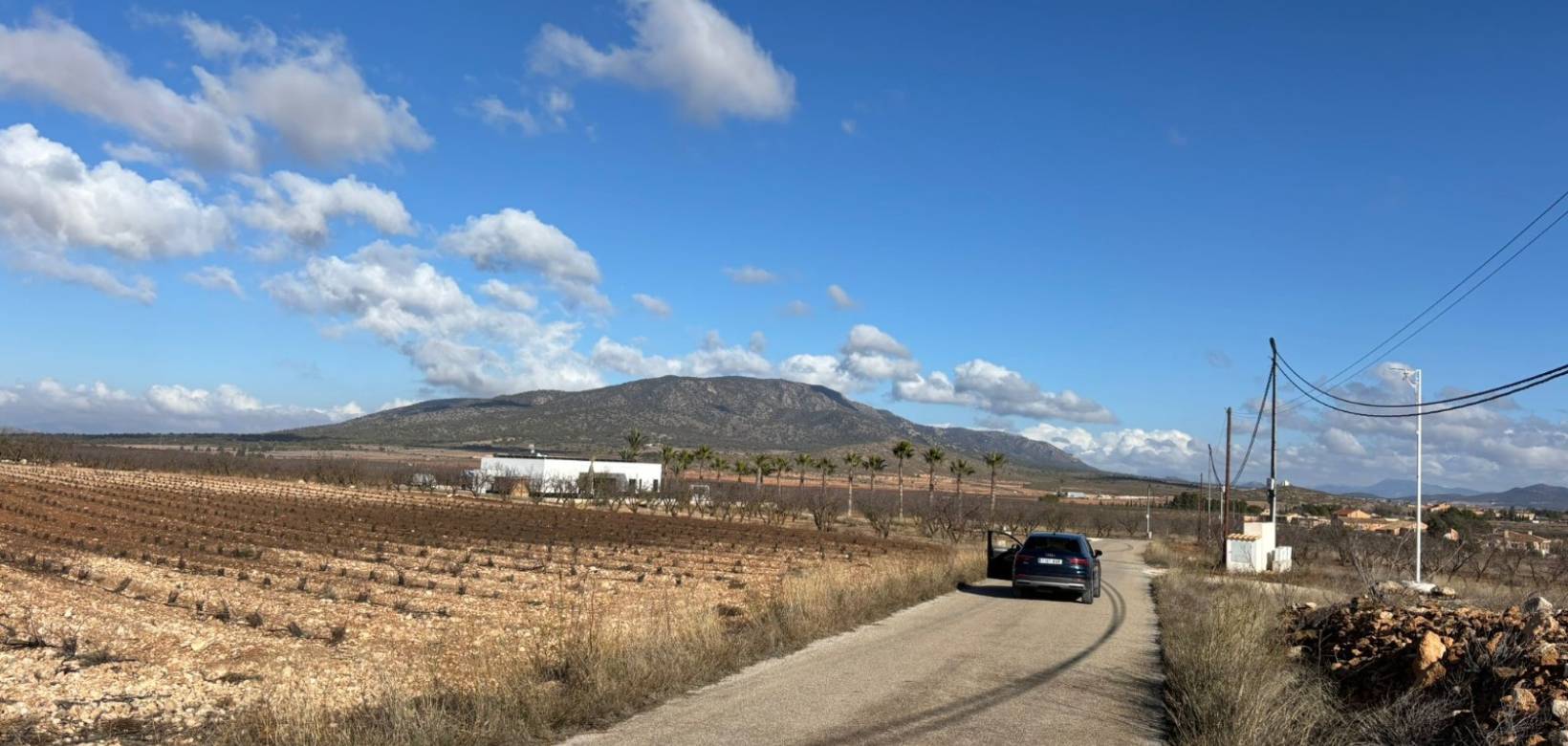 Wederverkoop - Plot / Land - Pinoso - el Pinós / Pinoso