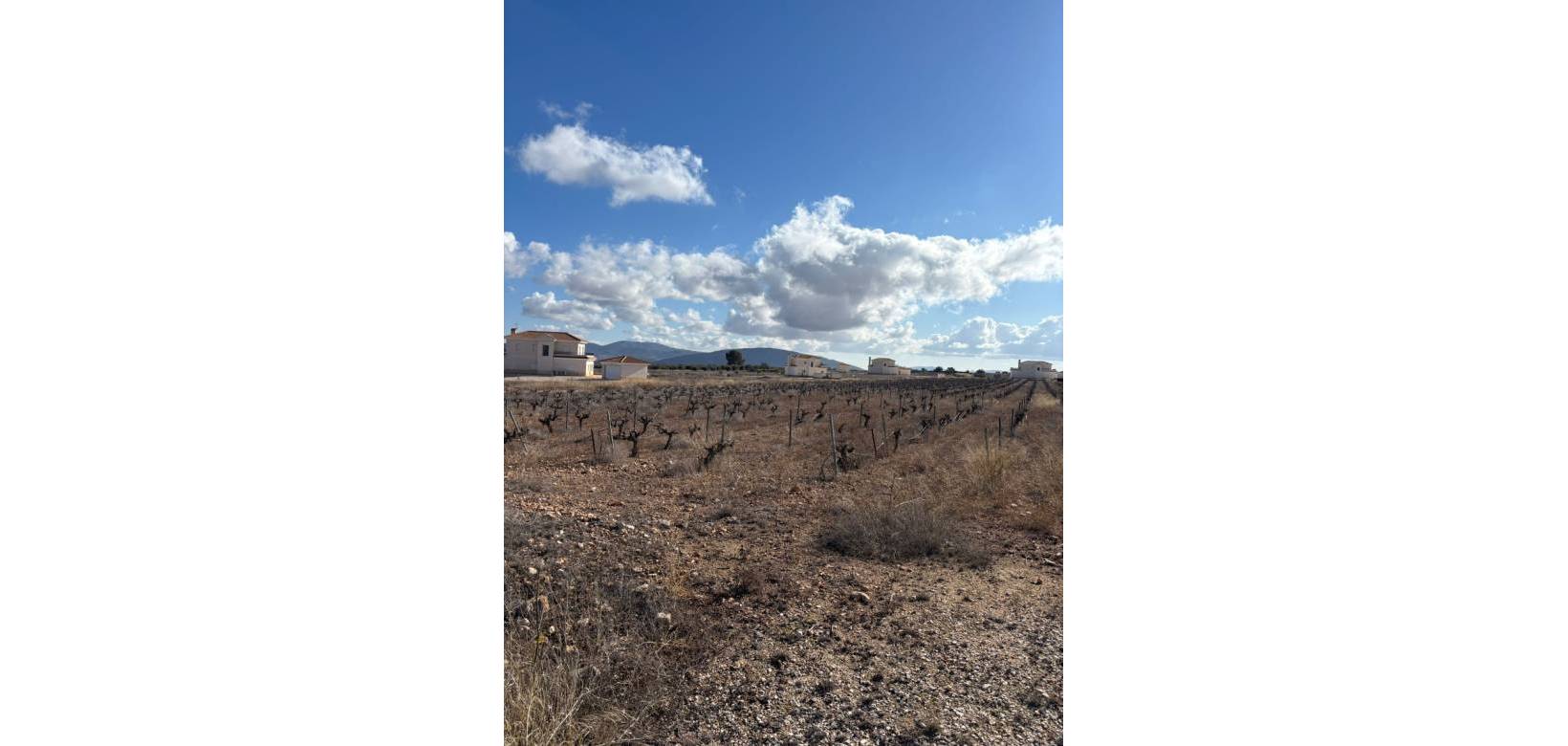 Wederverkoop - Plot / Land - Pinoso - el Pinós / Pinoso