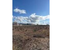 Wederverkoop - Plot / Land - Pinoso - el Pinós / Pinoso