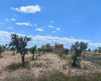 Wederverkoop - Restoration project - Pinoso - 