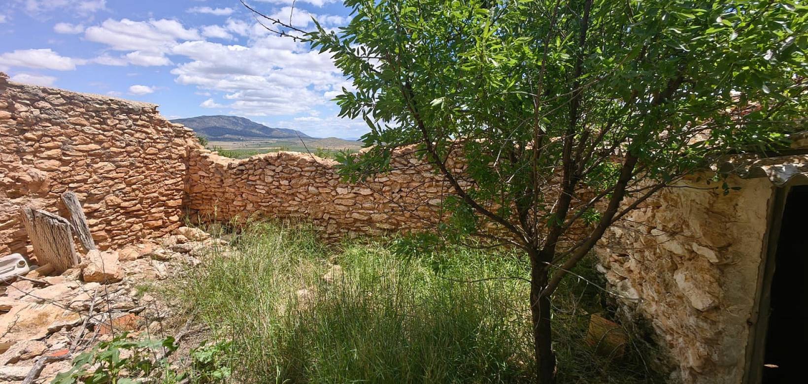 Wederverkoop - Restoration project - Pinoso - 