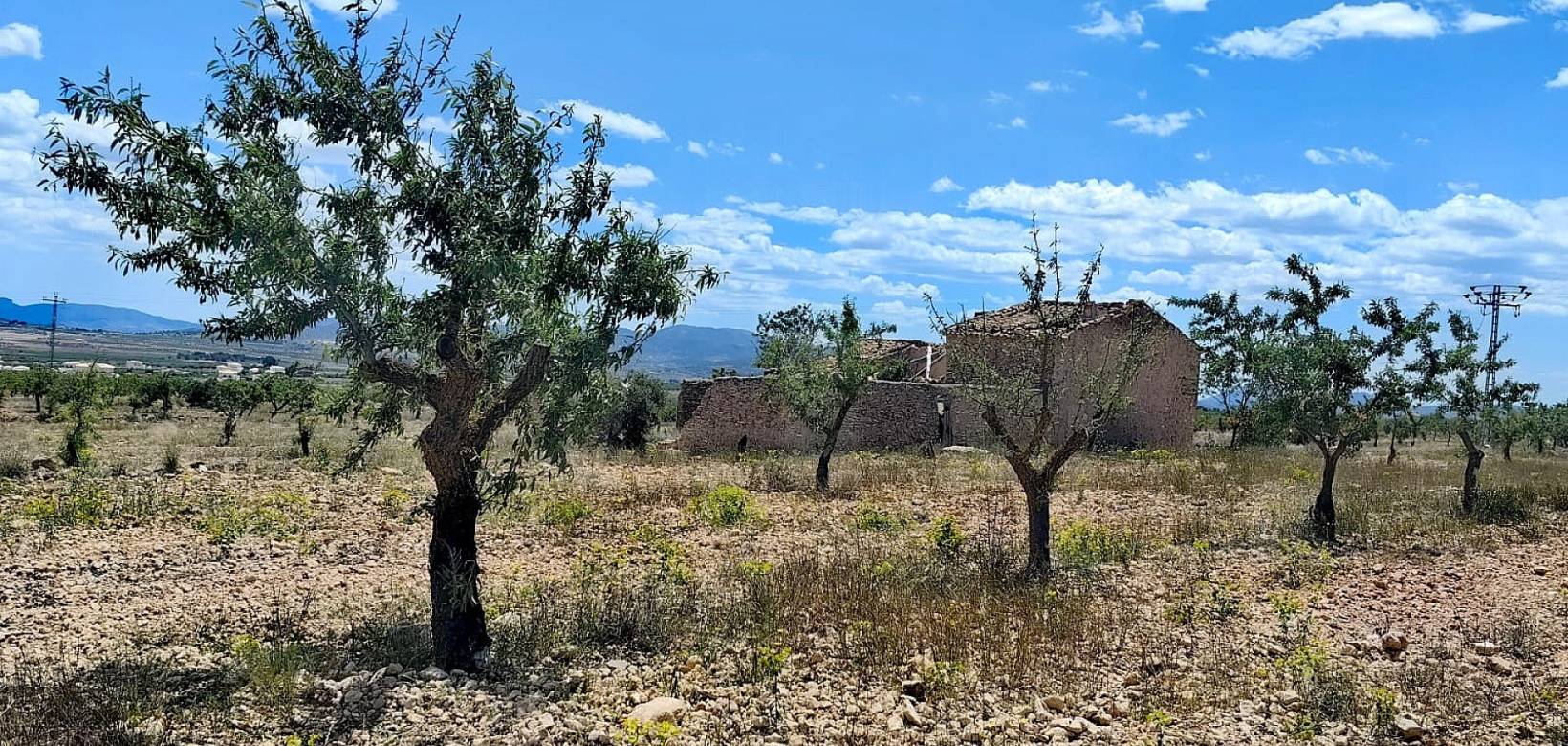 Wederverkoop - Restoration project - Pinoso - 