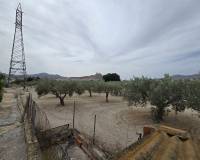 Wederverkoop - Restoration project - 