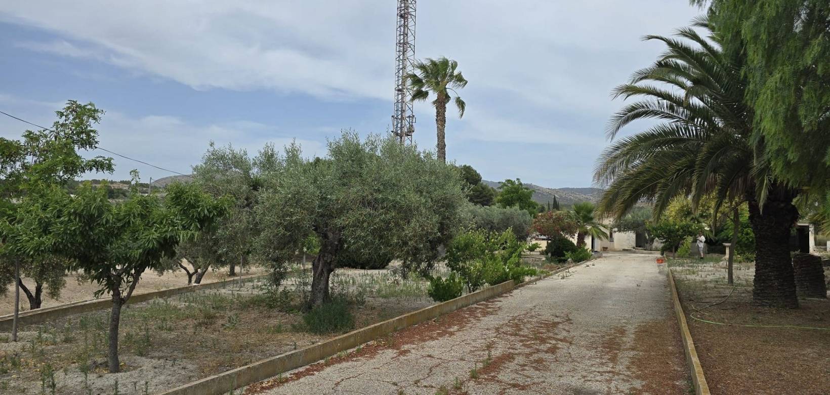 Wederverkoop - Restoration project - 