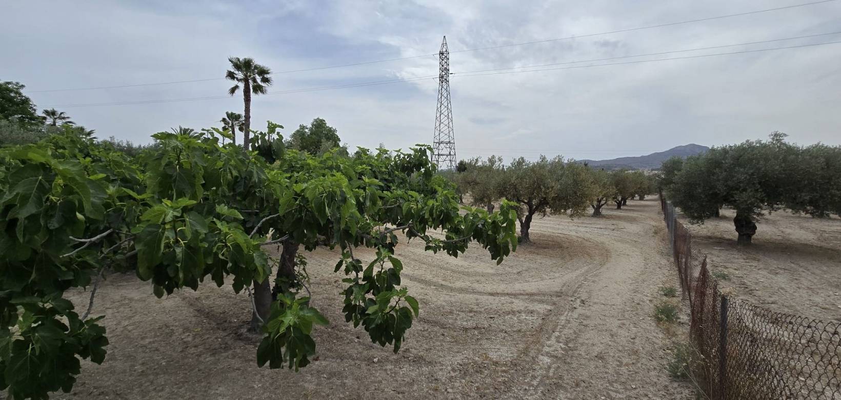 Wederverkoop - Restoration project - 