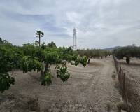 Wederverkoop - Restoration project - 