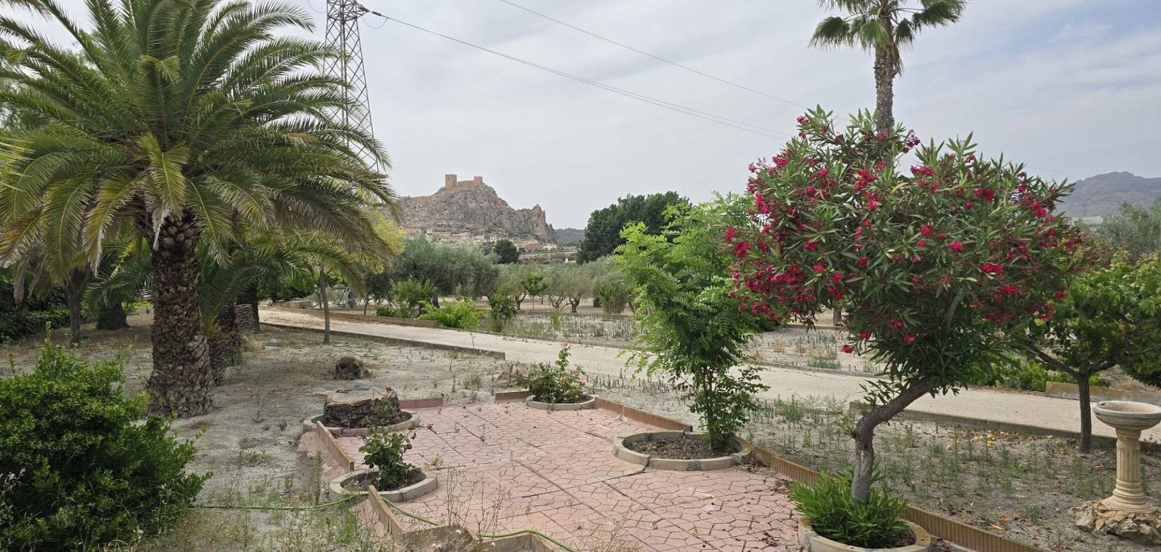 Wederverkoop - Restoration project - 