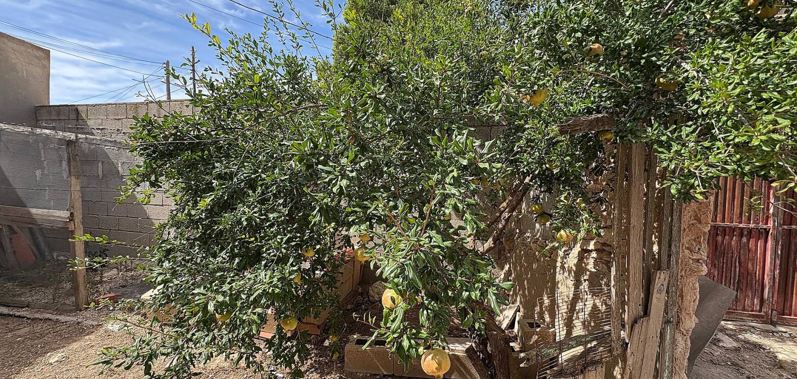 Wederverkoop - Semi-detached - Pinoso - 