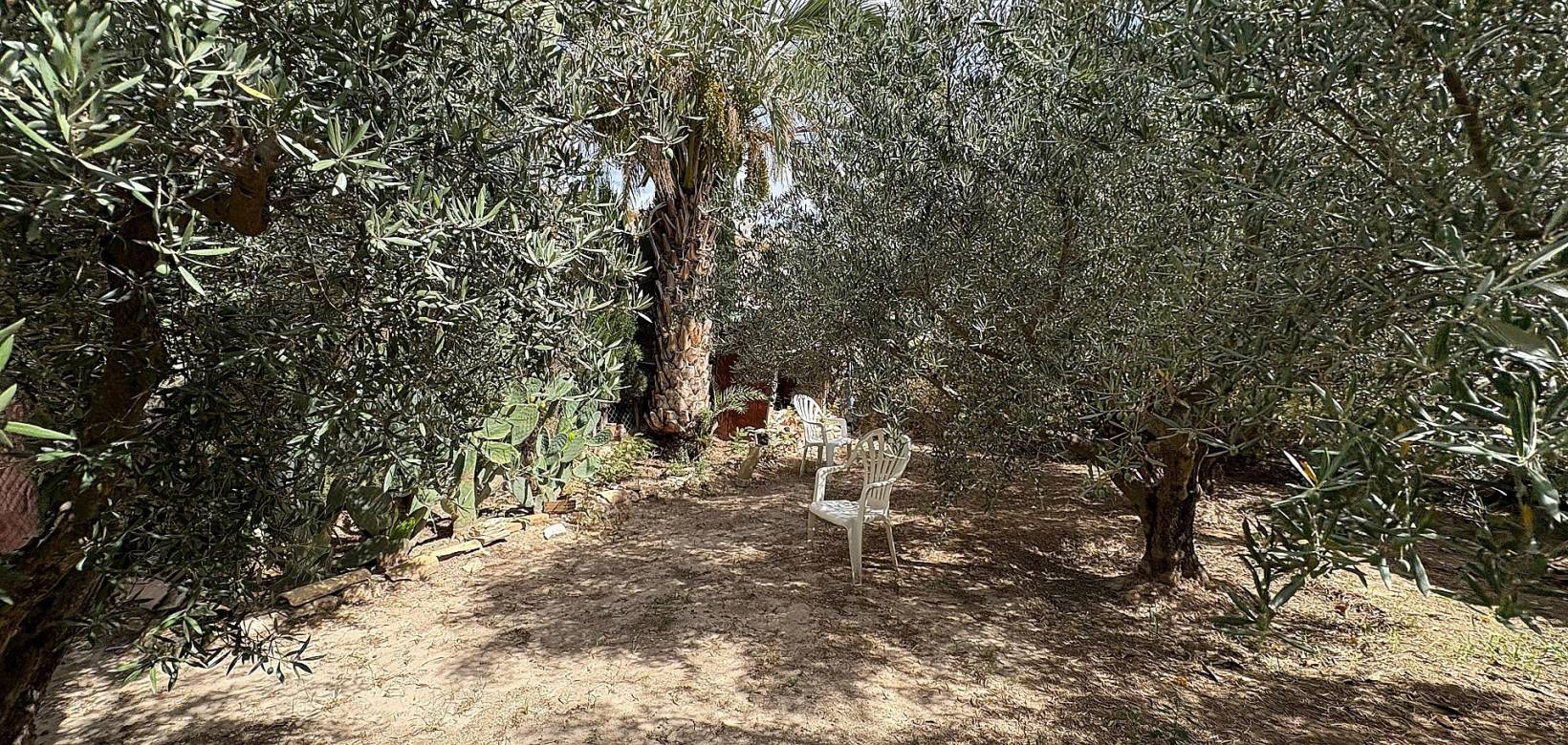 Wederverkoop - Semi-detached - Pinoso - 