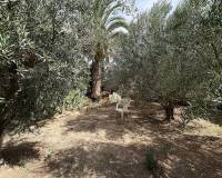 Wederverkoop - Semi-detached - Pinoso - 