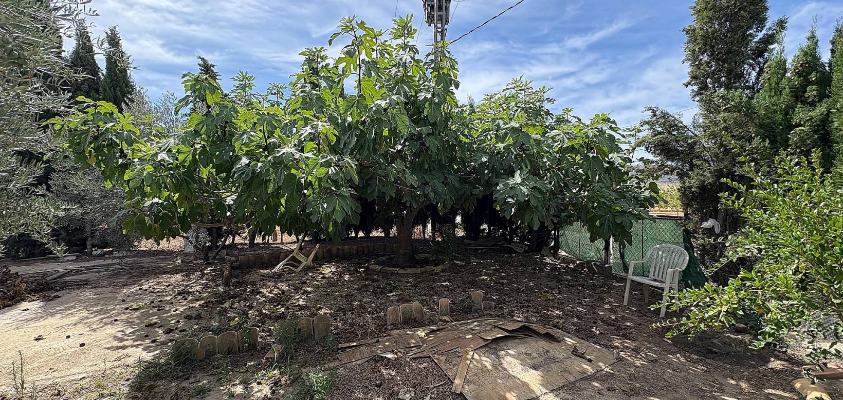 Wederverkoop - Semi-detached - Pinoso - 