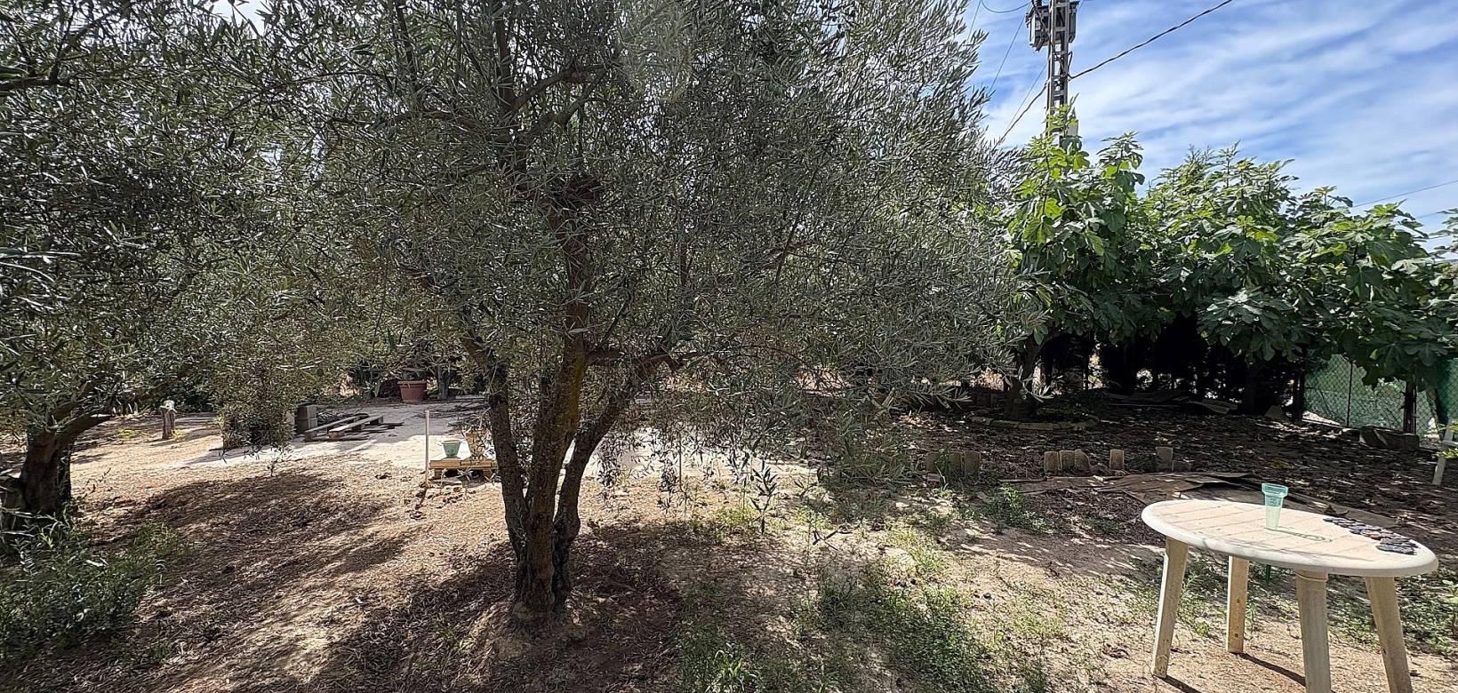 Wederverkoop - Semi-detached - Pinoso - 