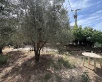 Wederverkoop - Semi-detached - Pinoso - 