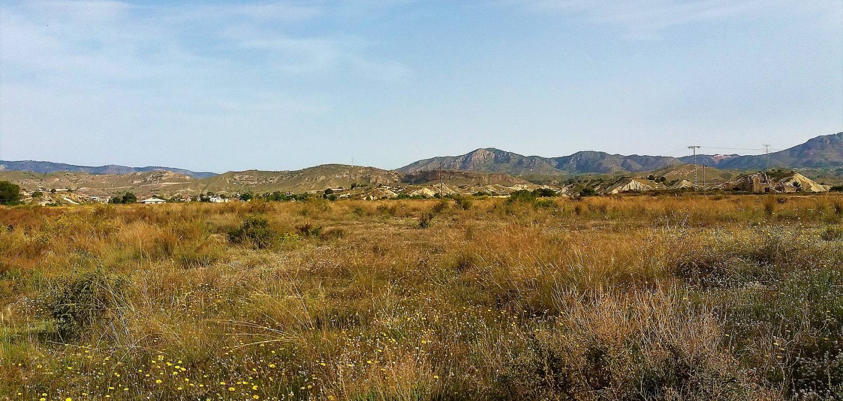 Wederverkoop - Villa - Abanilla - 