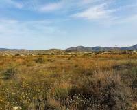 Wederverkoop - Villa - Abanilla - 