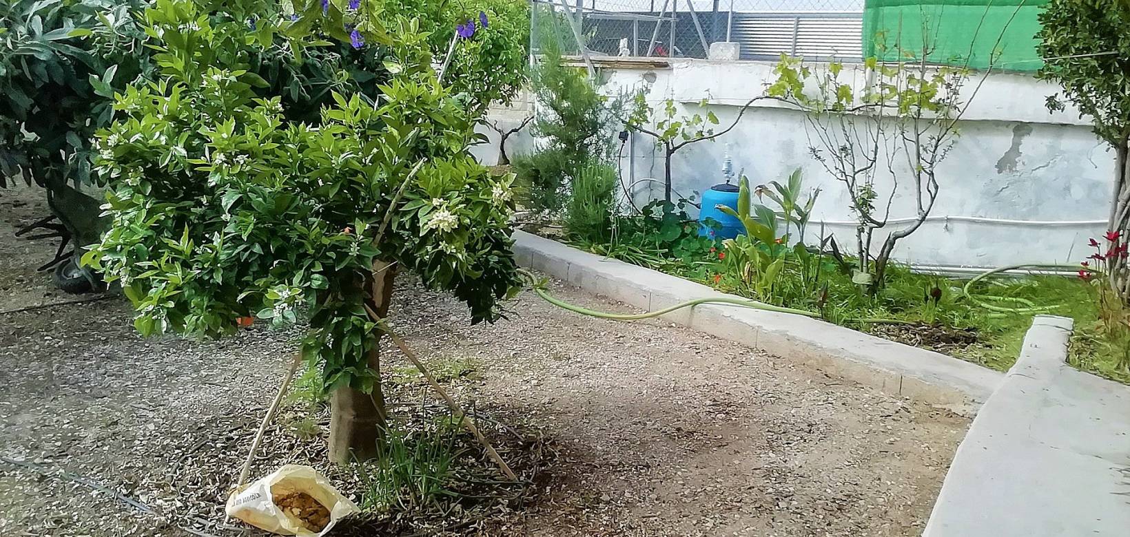 Wederverkoop - Villa - Abanilla - 