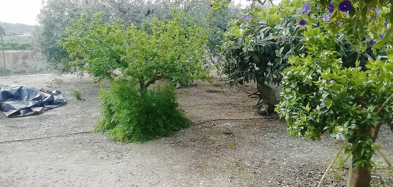 Wederverkoop - Villa - Abanilla - 