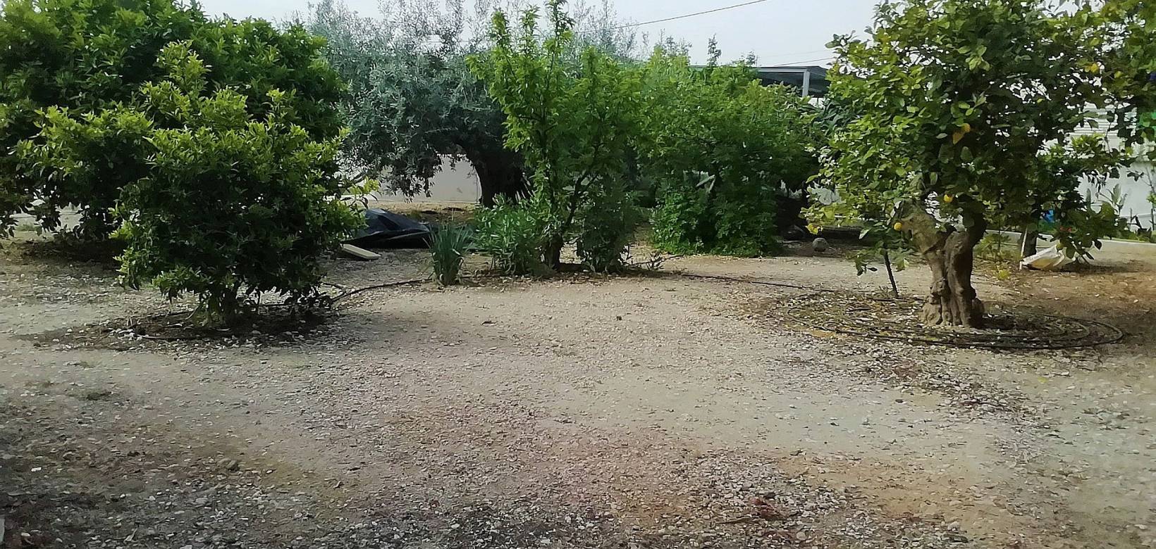 Wederverkoop - Villa - Abanilla - 