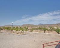 Wederverkoop - Villa - Abanilla - 
