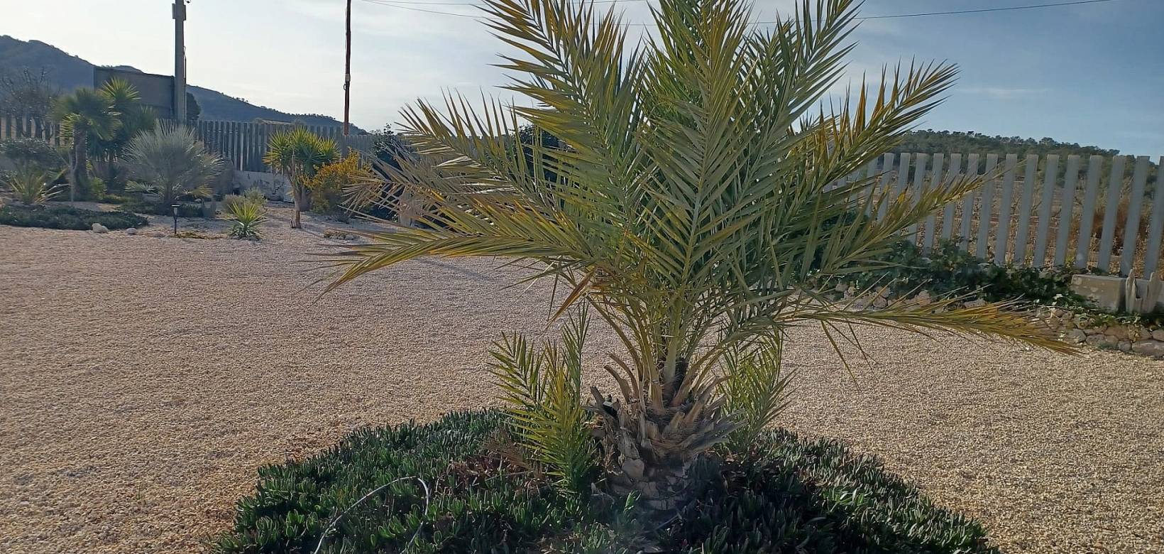 Wederverkoop - Villa - Cañada de la Leña - 