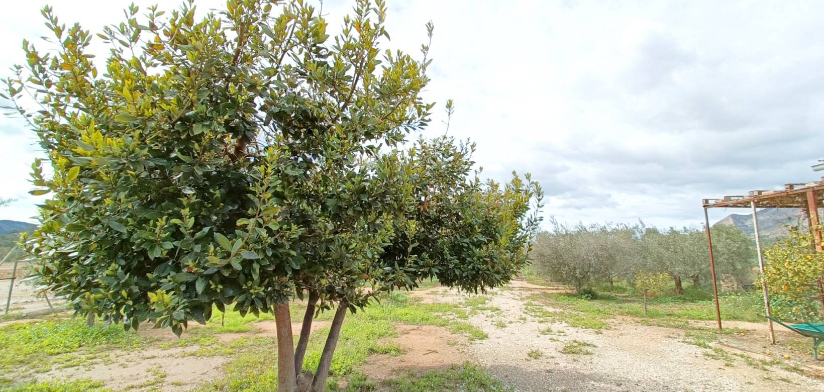 Wederverkoop - Villa - Hondón de las Nieves