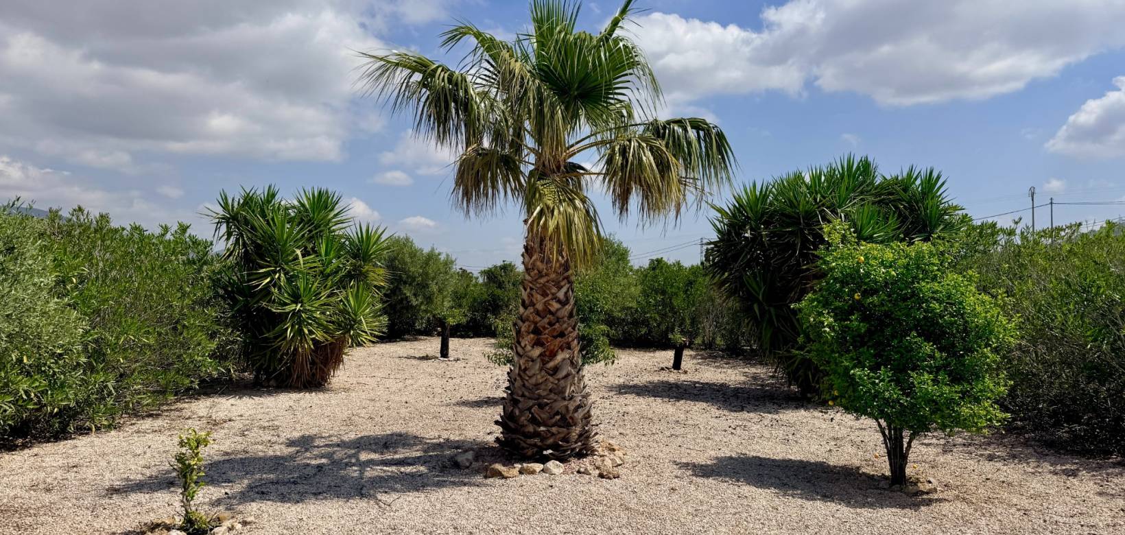 Wederverkoop - Villa - Hondón de los Fráiles