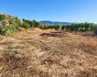 Wederverkoop - Villa - La Romana