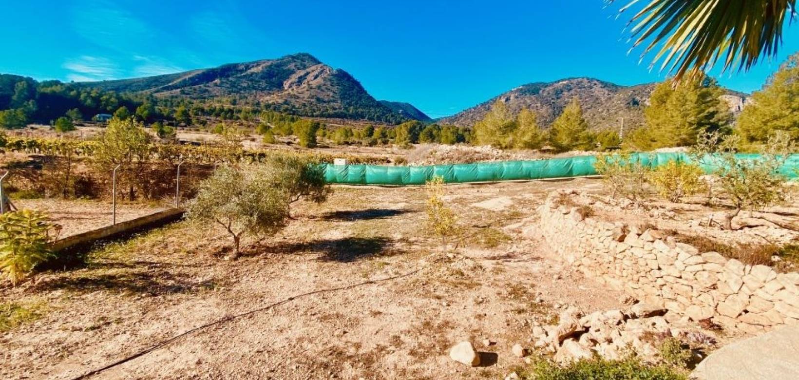 Wederverkoop - Villa - La Romana