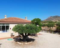 Wederverkoop - Villa - Macisvenda