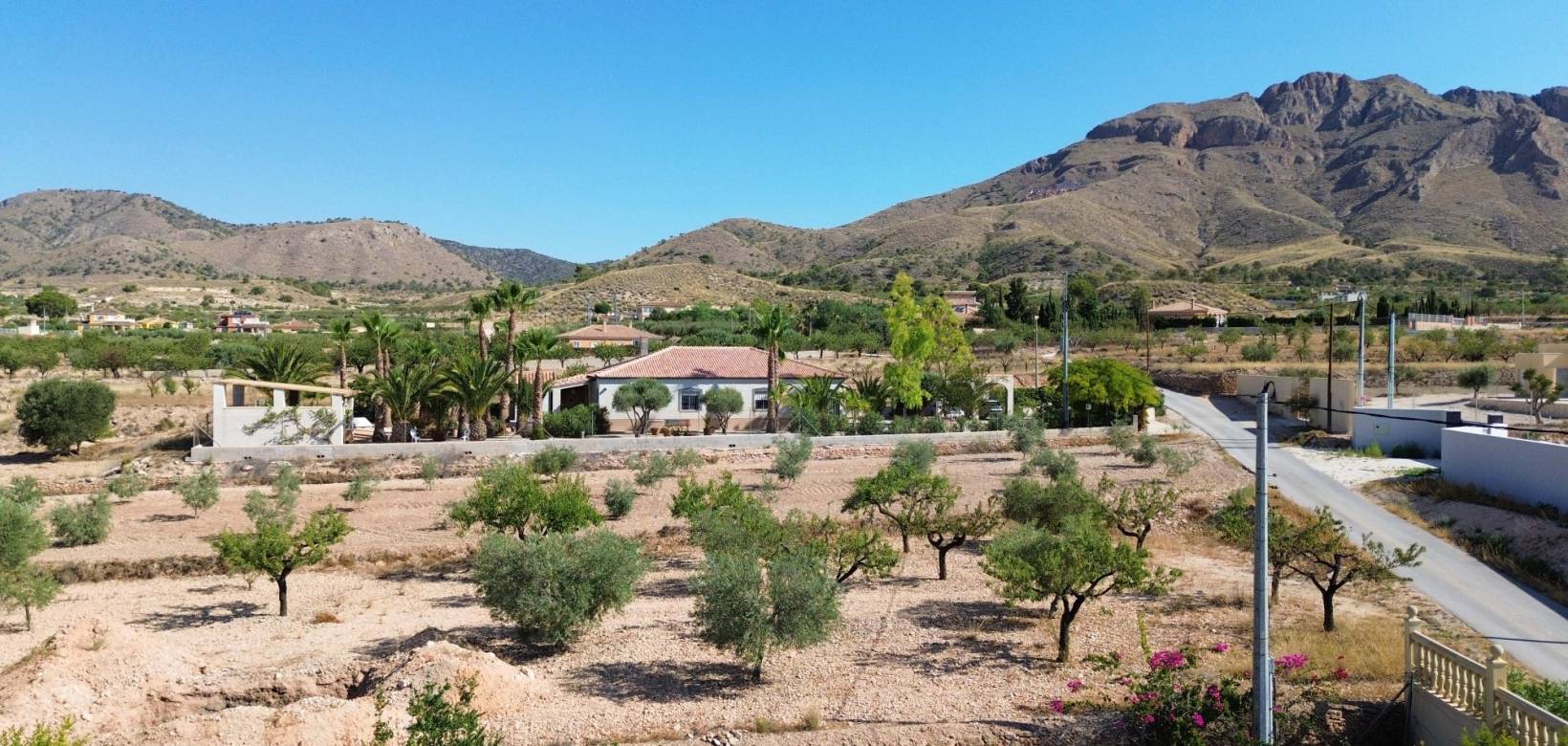 Wederverkoop - Villa - Macisvenda