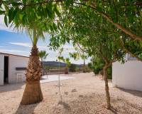 Wederverkoop - Villa - Macisvenda