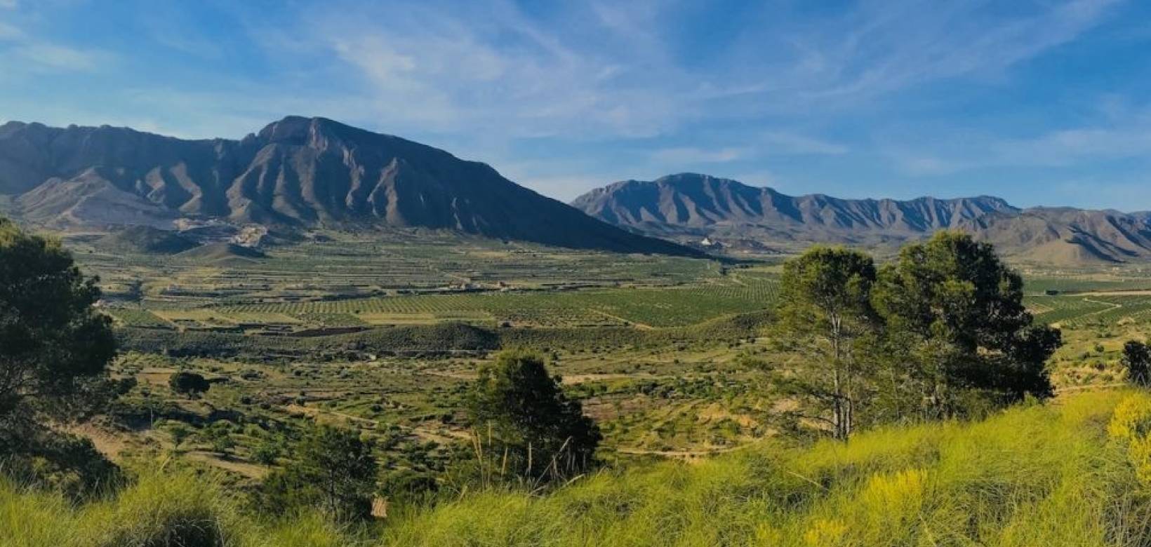 Wederverkoop - Villa - Macisvenda