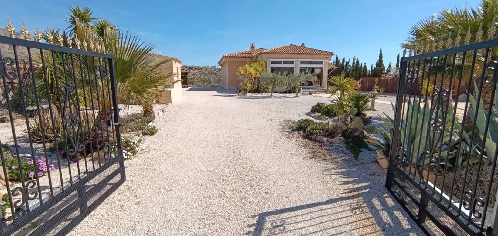 Wederverkoop - Villa - Macisvenda