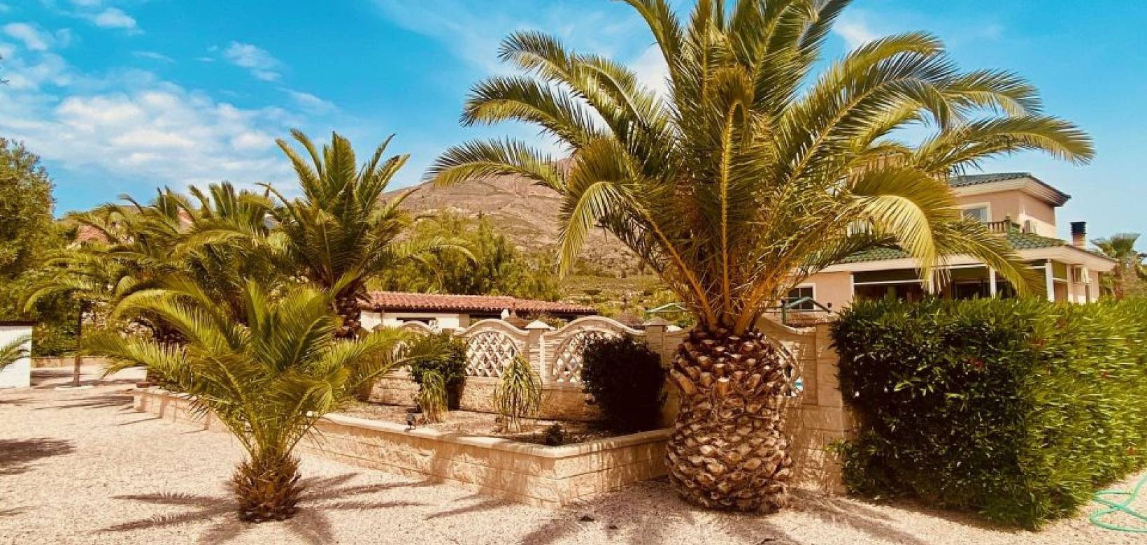 Wederverkoop - Villa - Macisvenda